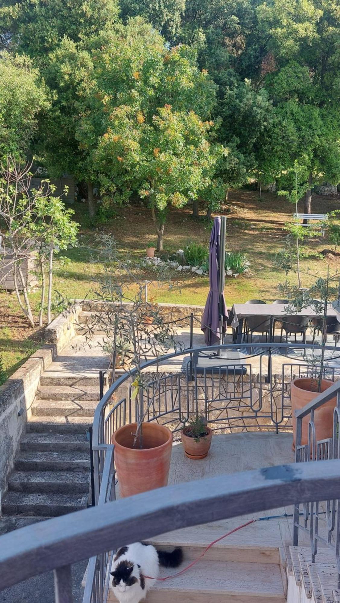 Apartamento Marta Rovinj Exterior foto